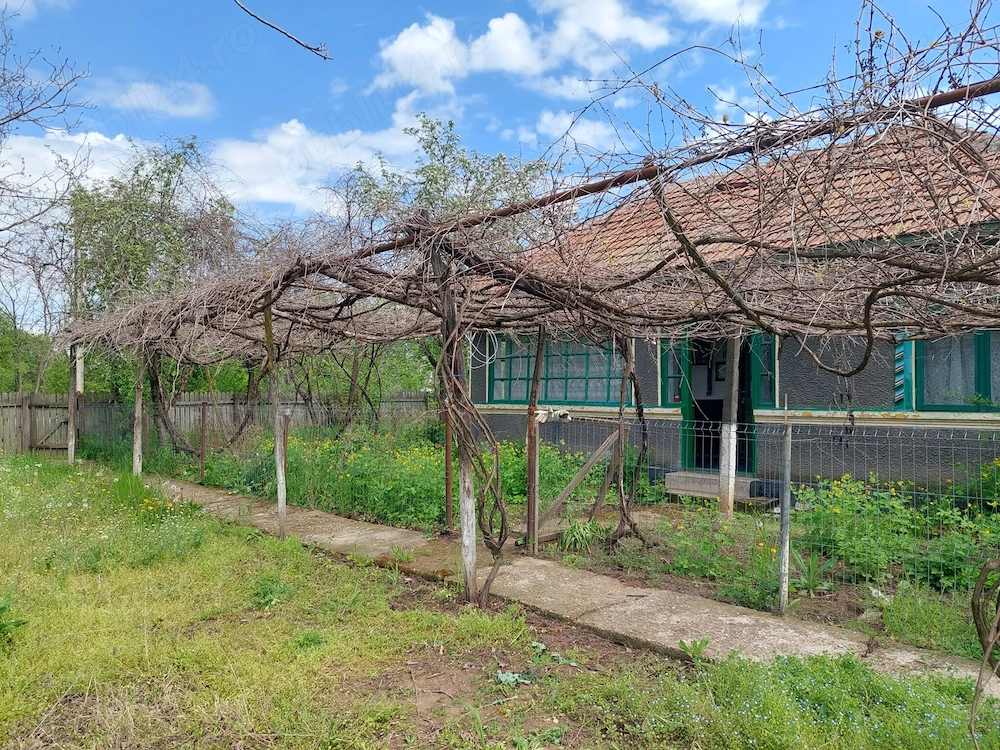 Casa cu teren 1280mp in Merii Petchii, Ilfov- oaza de liniste!