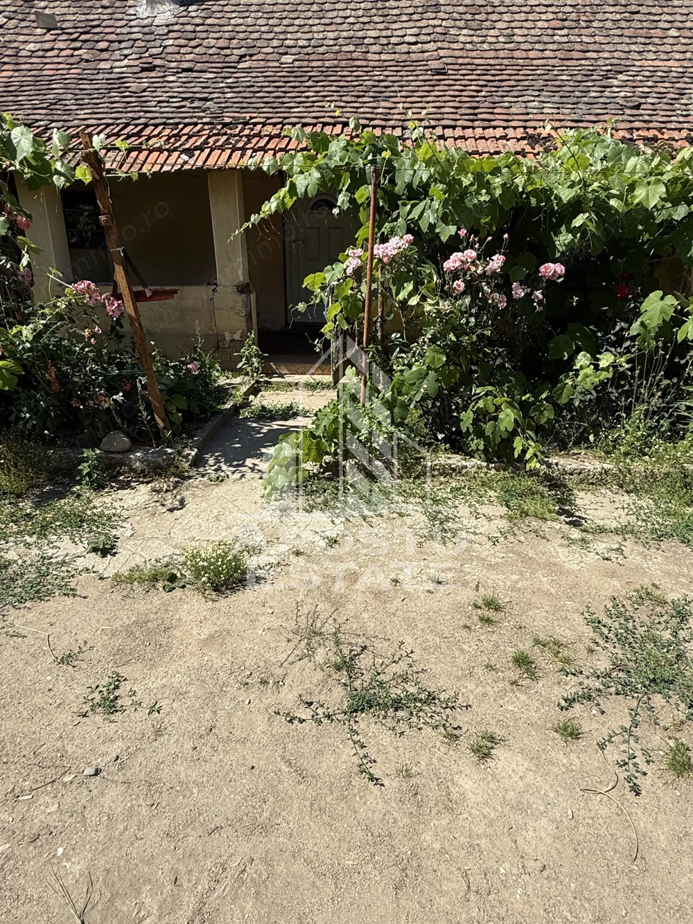 Casă veche în Bazos cu teren 1439 mp