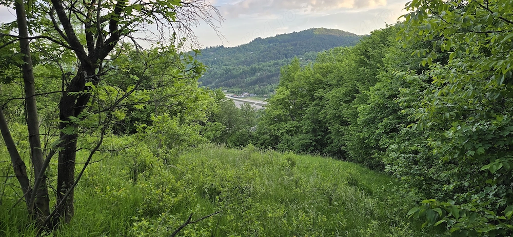 Teren intravilan in Comarnic cu un view deosebit 
