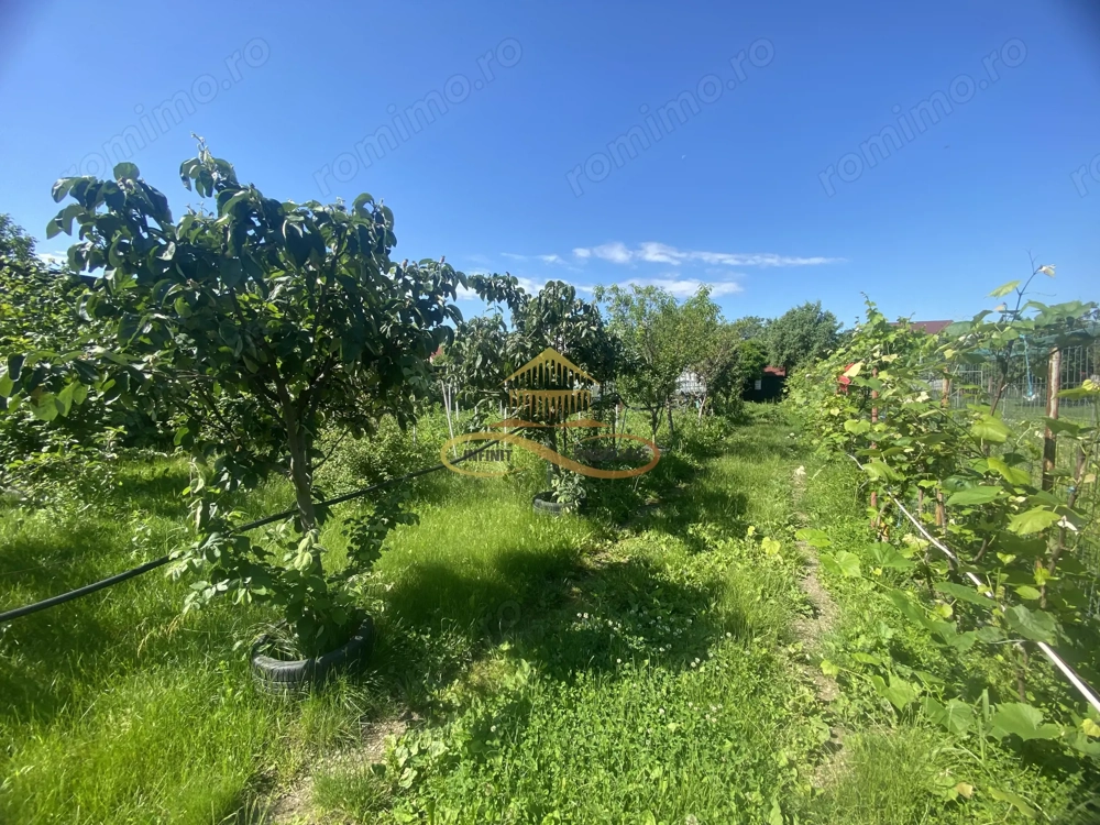 Teren intravilan  - de vânzare / 750 mp, Gherăiești, Bacău