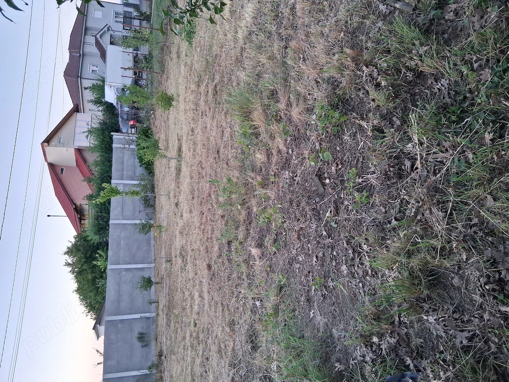 Dau in chirie teren  300 m2 