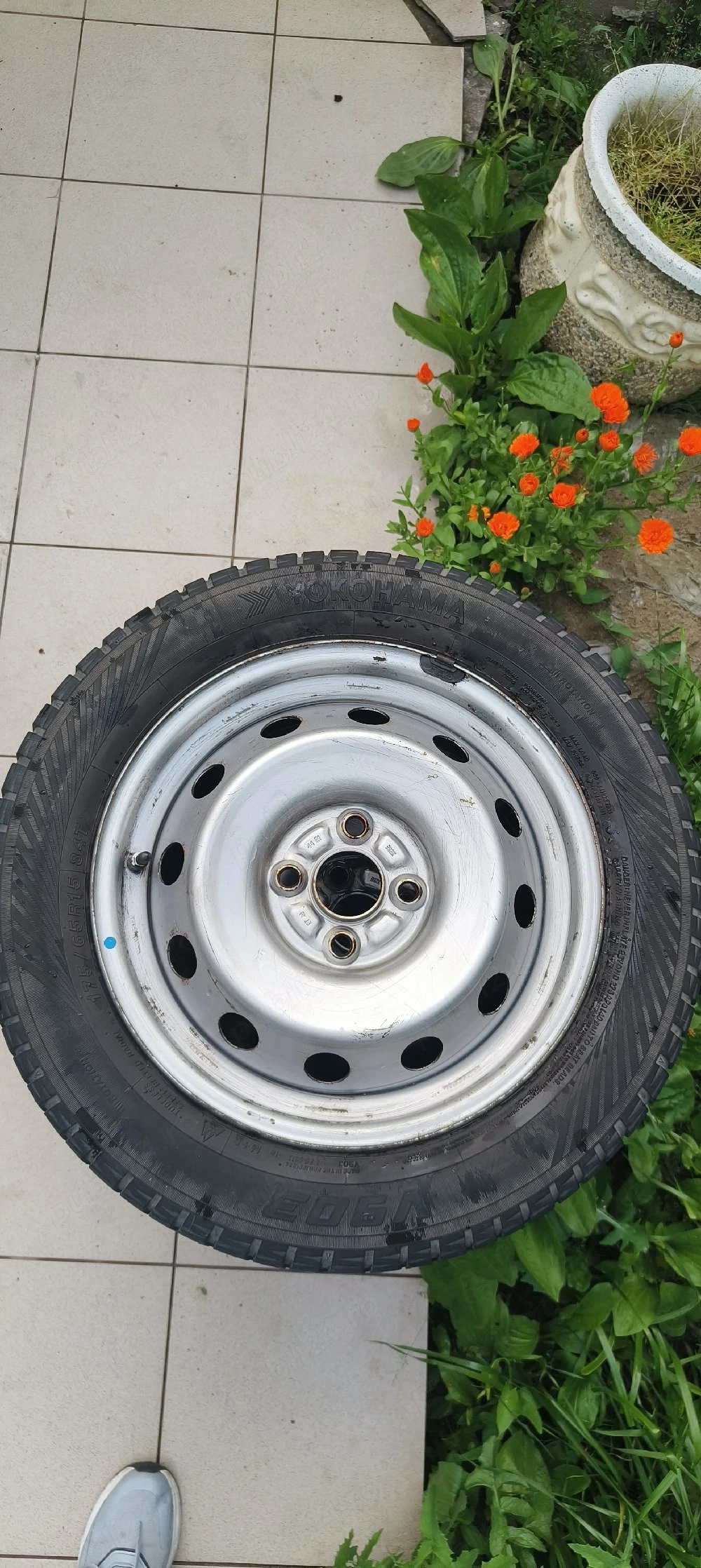 ofertă cauciucuri 