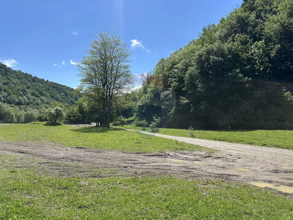 Teren 1,340mp Cuejdiu / Strada Cuejdiului
