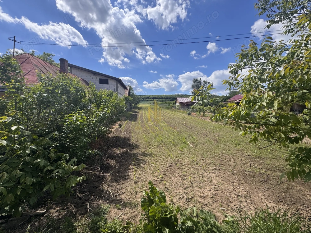 TEREN 2.900 MP ÎN ZONA CENTRALĂ LIPOVENI – ACCES DIRECT LA ASFALT