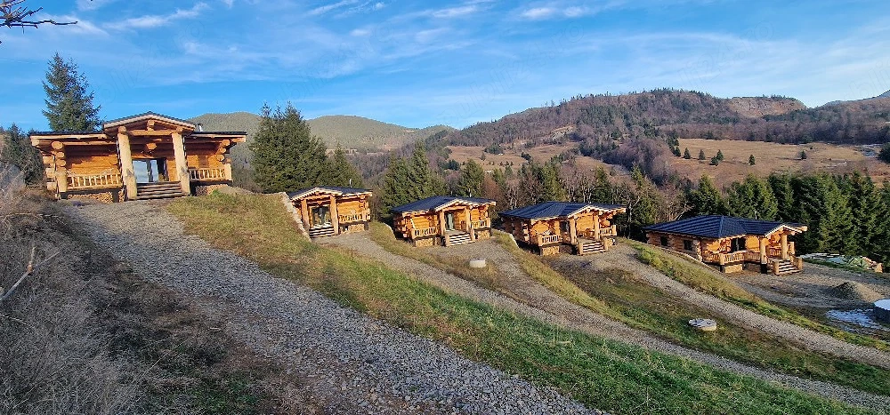cabana de inchiriat Colibita