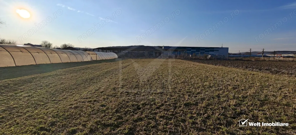 Teren industrial 3500mp, Apahida