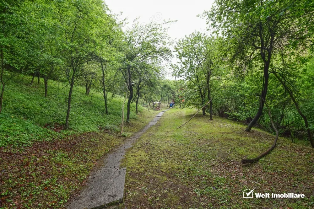 Casă 2010 + teren 4891 mp cu PĂDURE și PÂRÂU | 15 km Cluj | Gaz+Apă+Curent+Canal