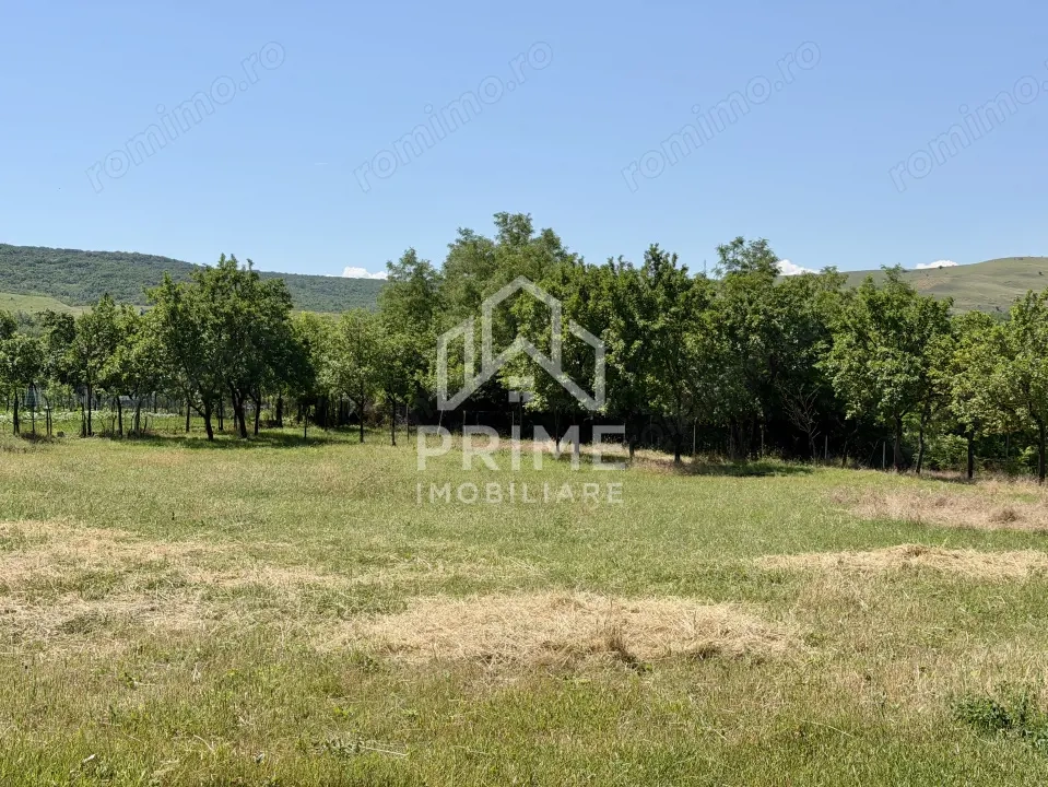 Teren Intravilan 2417 MP | Toate utilitățile | Oarda | Alba Iulia