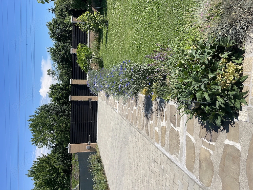 Casa de vinzare  în Viisoara