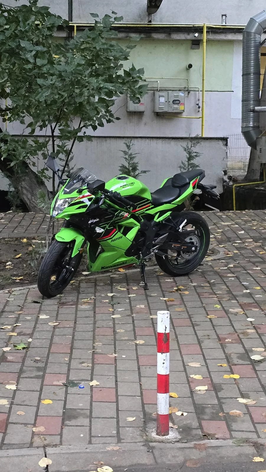 Vand Motocicleta Kawasaki Ninja 125 2024 Verde