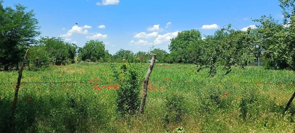 Teren intravilan de vânzare   1.800 mp   Fântâna Doamnei, județul Călărași 