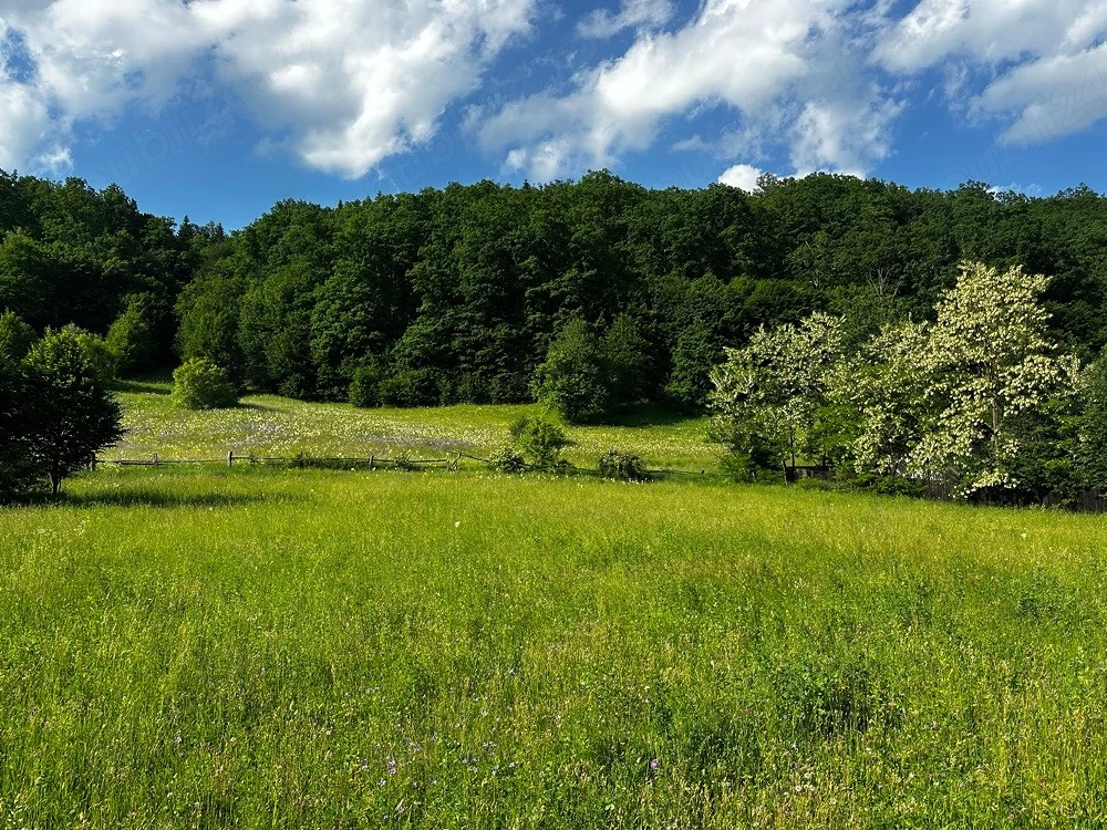 1000m2 Teren intravilan Cuejdiu Garcina,Neamț 