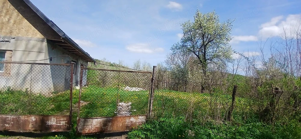 Vindem casa în Pacureni Județ Mureș 