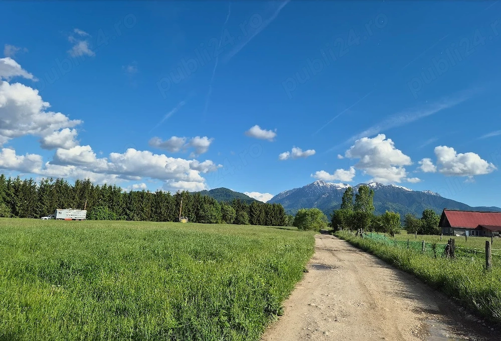 Teren extravilan Rasnov Brasov Panicel   Bran