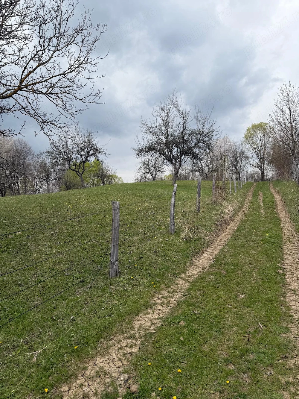 Teren extravilan de vanzare in Izvorul Rece, comuna Vaideeni, Jud Valcea