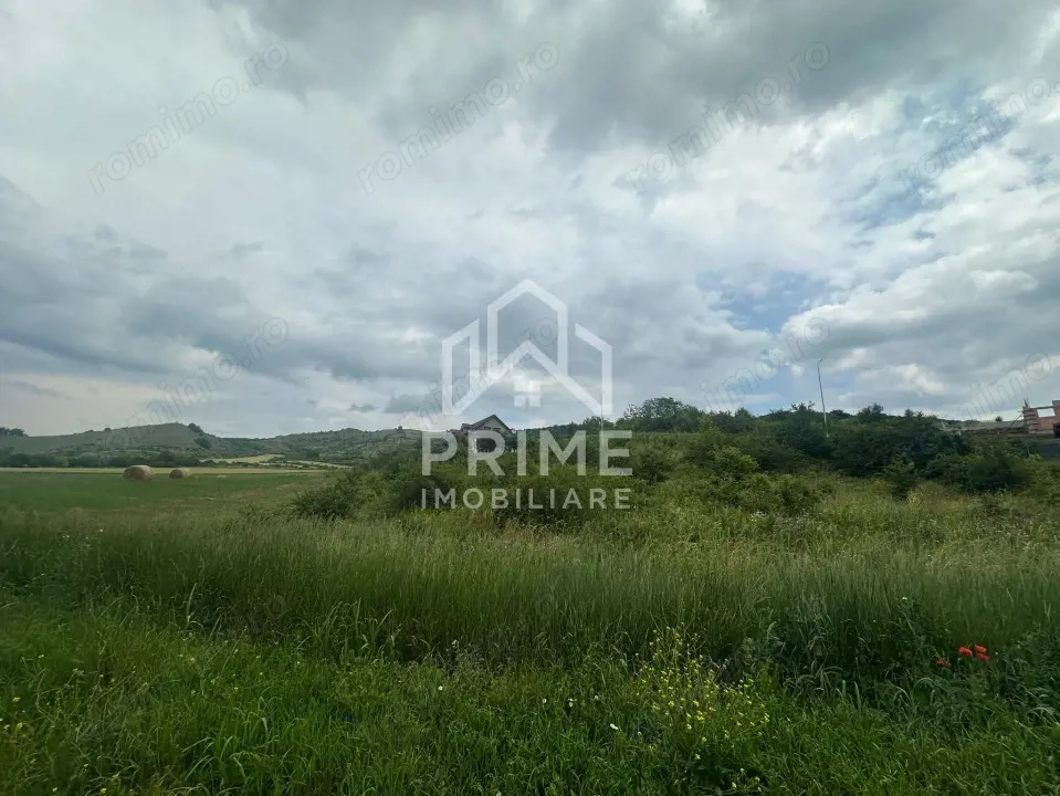 Teren Intravilan 1.493 mp| toate utilitățile| zona Teleac 
