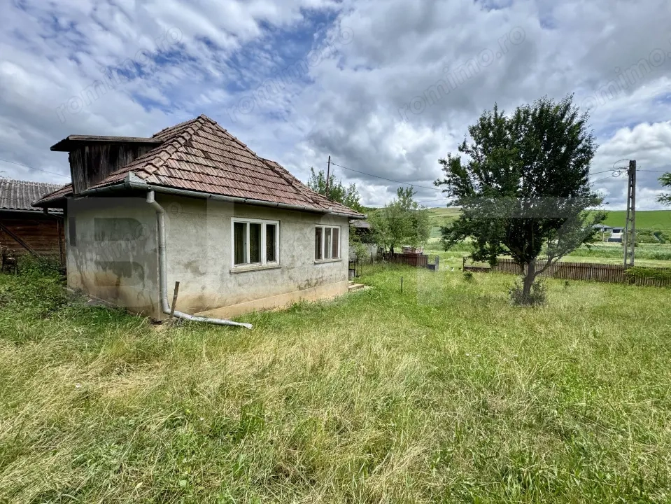 Casa 50 mp utili, 5000 mp teren, sat Draculea Bandului