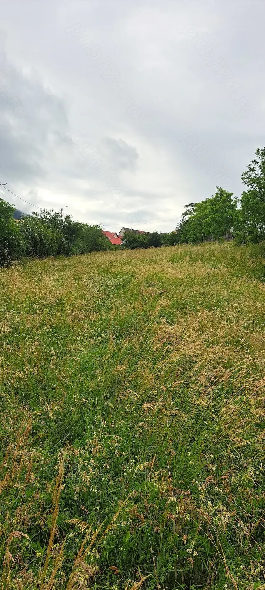 Teren intravilan de vanzare