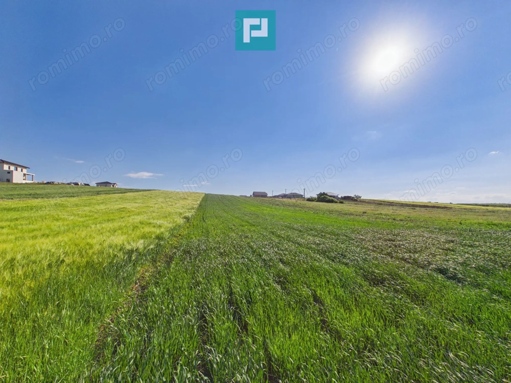 Teren intravilan 3500 mp Cihei,