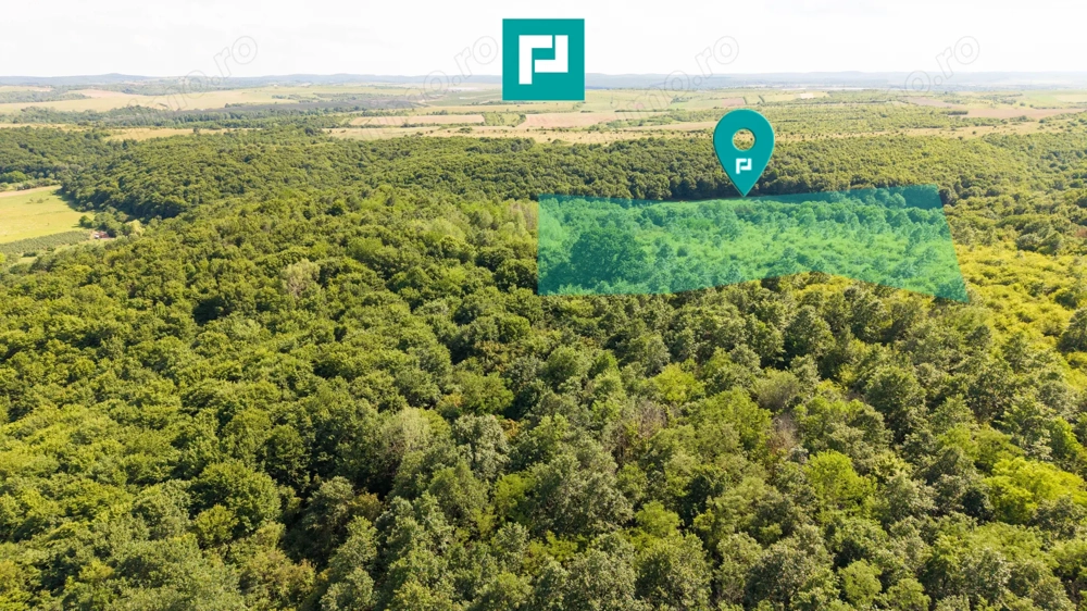 TEREN AGRICOL EXTRAVILAN  22.900 MP LIPOVA