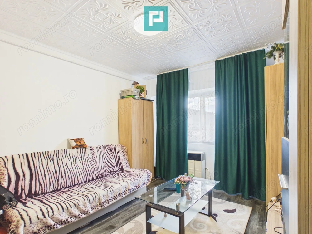 Apartament o cameră Vladimirescu