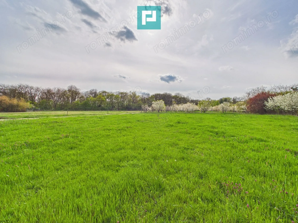 Teren intravilan, 820 mp, Pădure Giroc