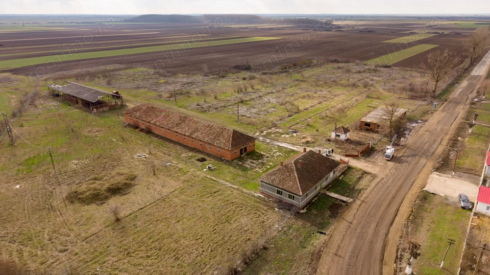 Fermă cu teren intravilan de 35000 mp în Mișca