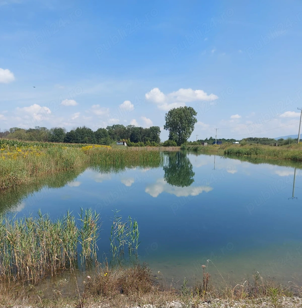 Oportunitate de investiție   Teren intravilan 21.800 mp cu lac natural, 390 m deschidere la DN11 BV