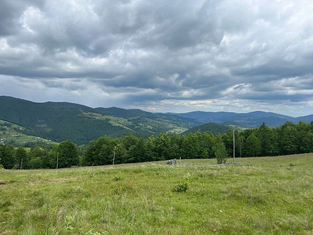     Oportunitate de Investiție: Teren Intravilan 1.5 Ha la 1200m Altitudine   Lângă Pârtia Vârtop 