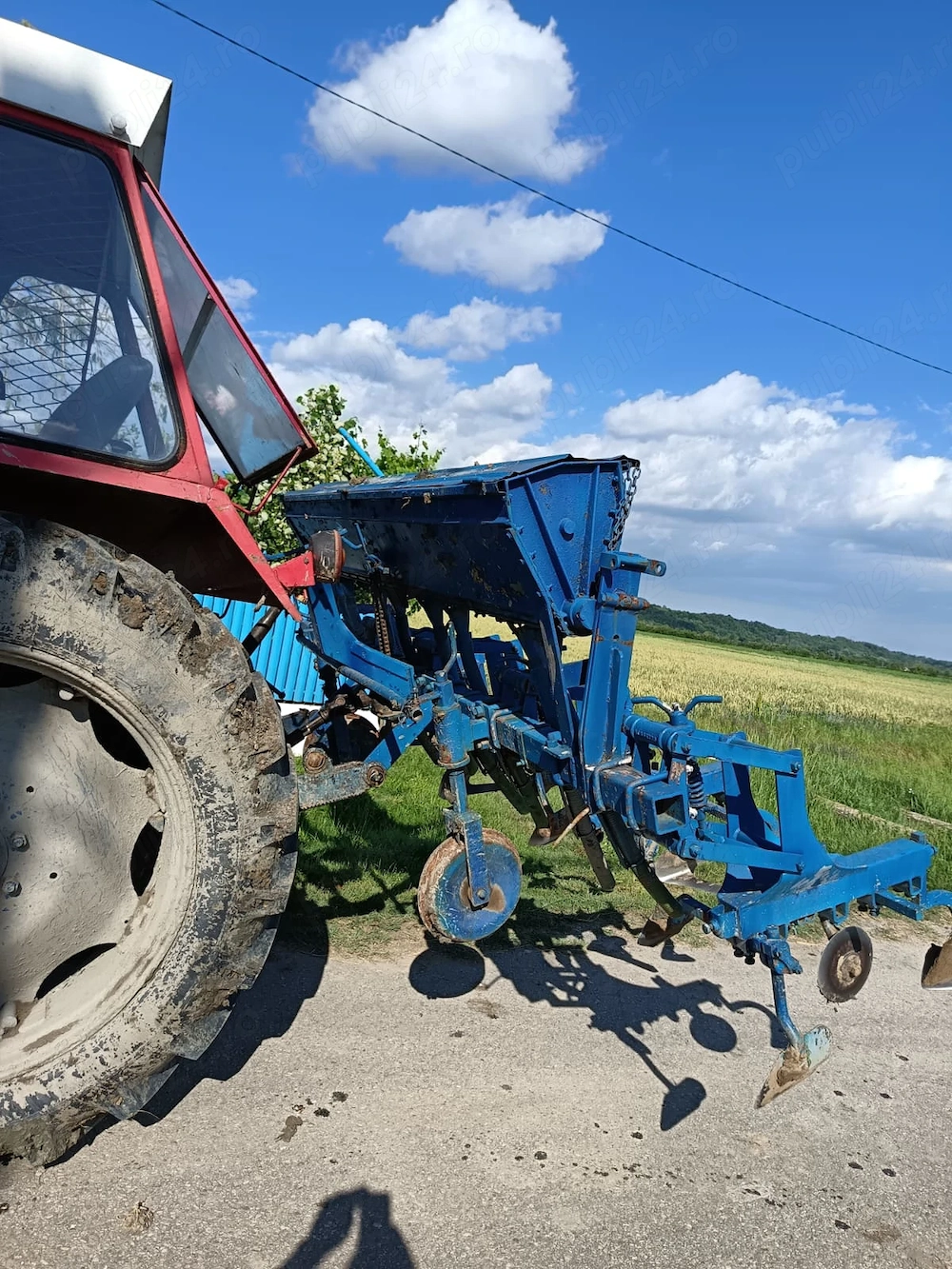 Vând prăsitoare cu fertilizare 