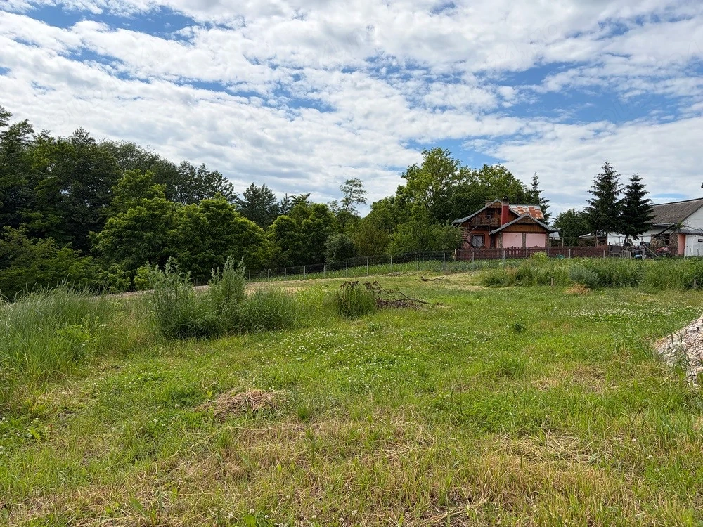 Terenuri intravilane de vânzare Patrauti