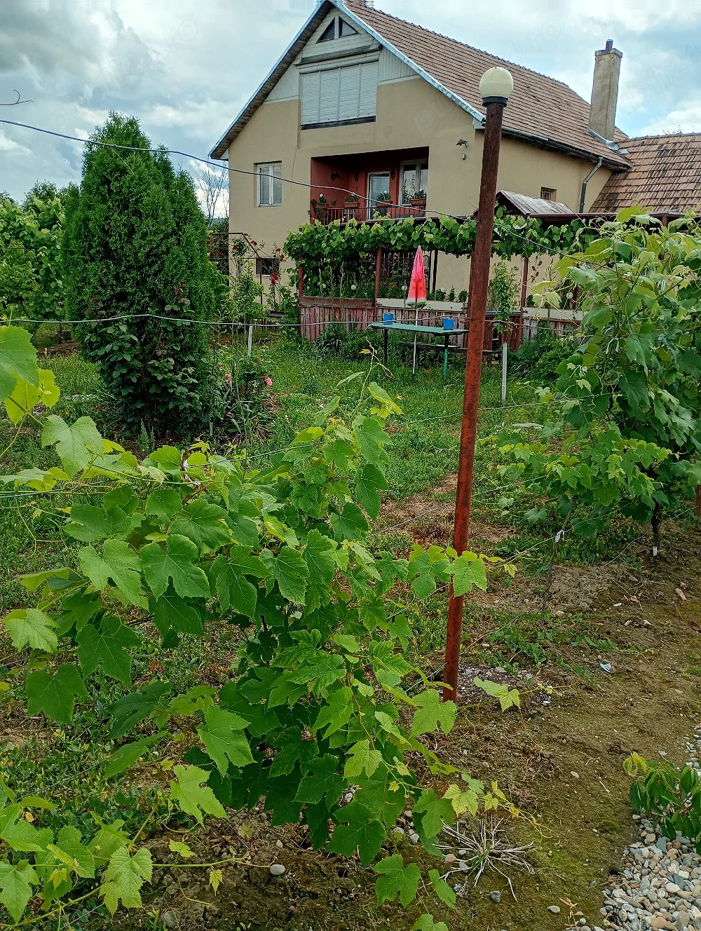 vand casa in Coplean