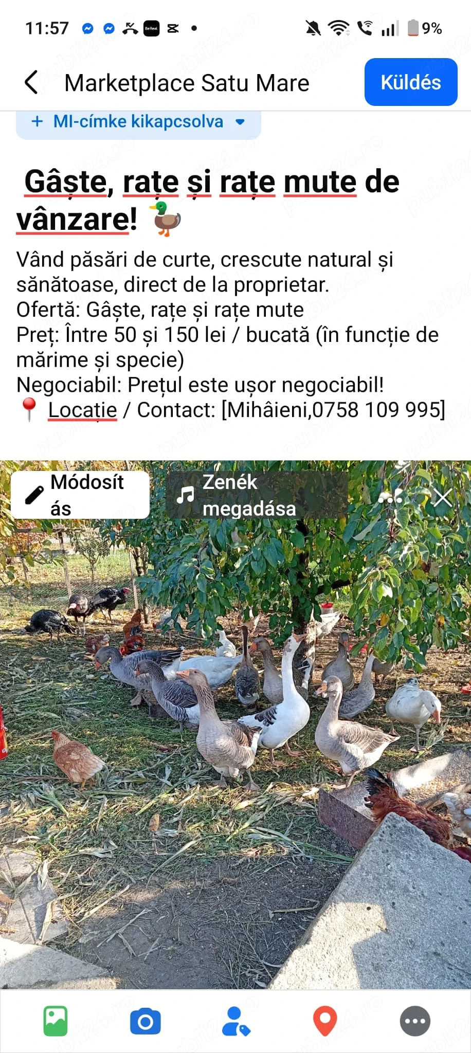 Rata. Gasca