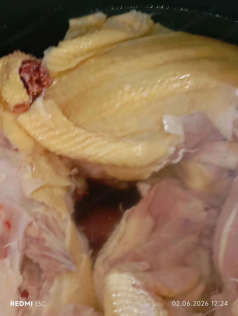 Pui de carne