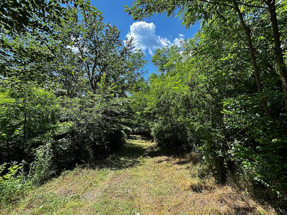 Teren Padure 6857 mp. intravilan Com Bujoreni-Valcea