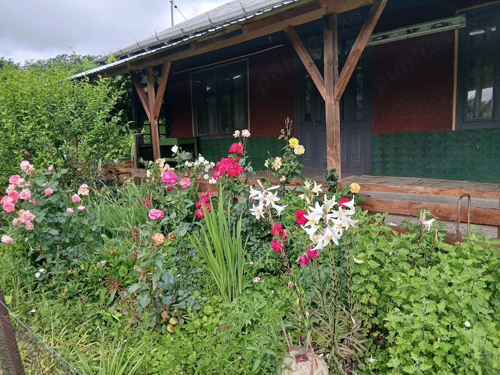 Casa de vanzare IL Condeiesti