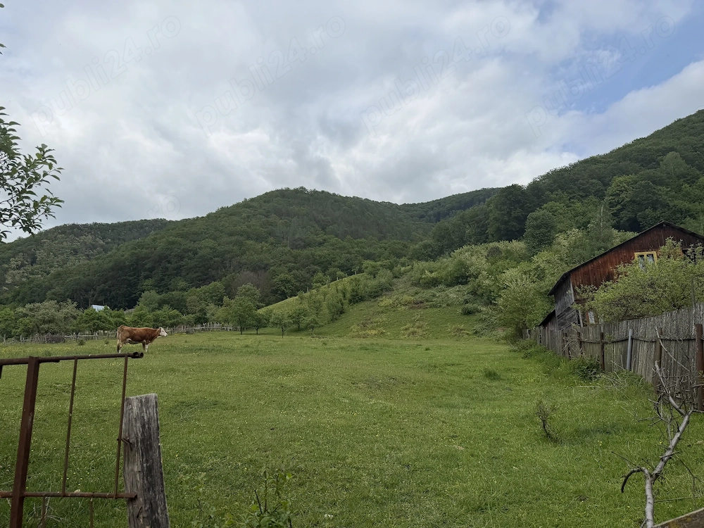 Vand Teren pe Raul Mic, Cugir, 5500 mp