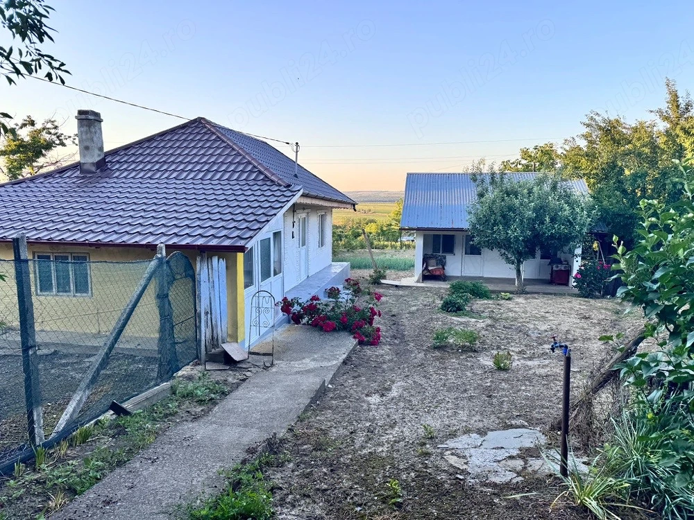 Vand Casa 
