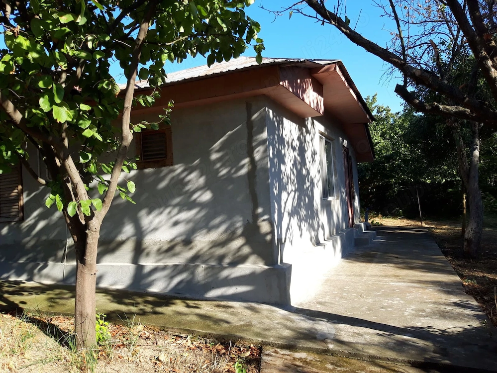 Vand casa la tara