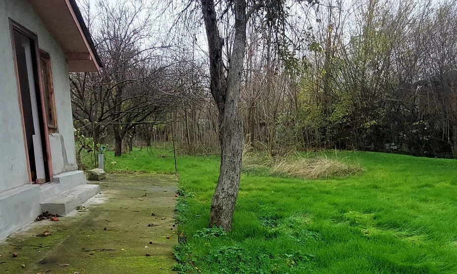 Vand casa la tara