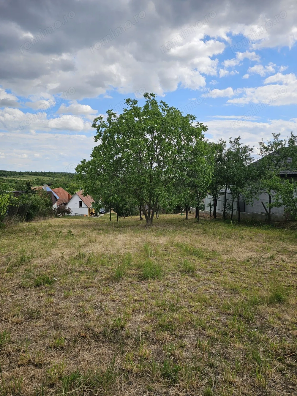 Teren construibil Saldabagiu de Munte 780 mp