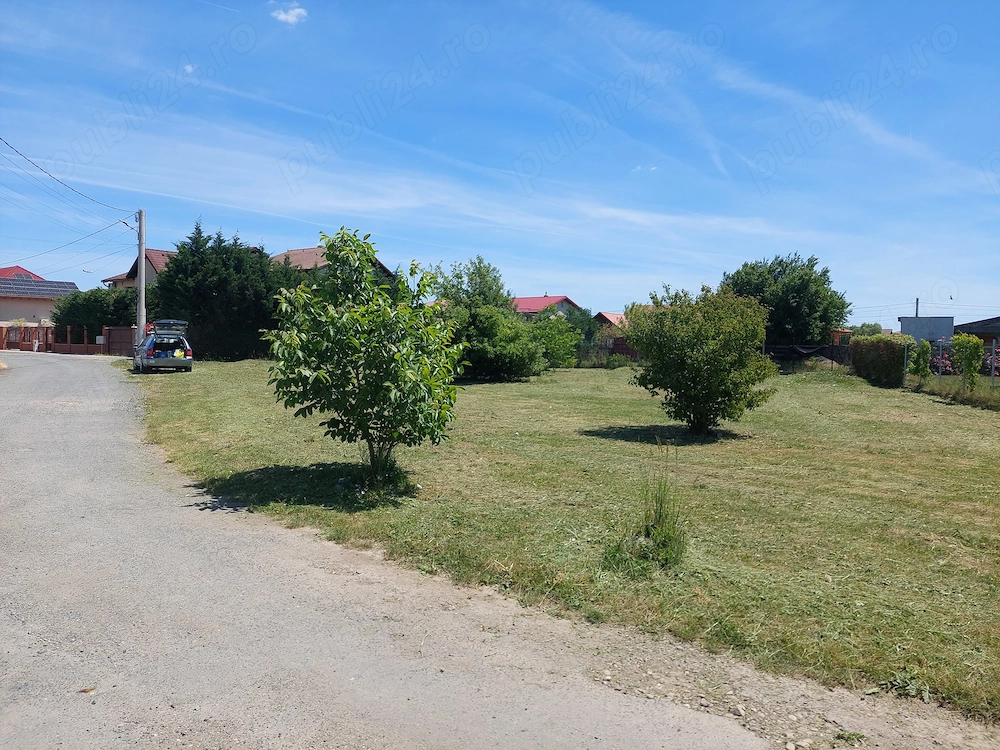 Teren intravilan Dumbravita 