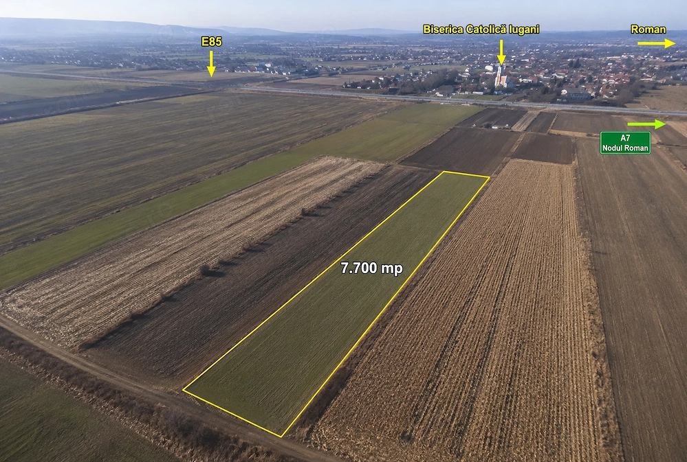 Teren agricol 7.700 mp Iugani, lângă E85 și Nodul A7 Roman, ideal investiție sau arendă