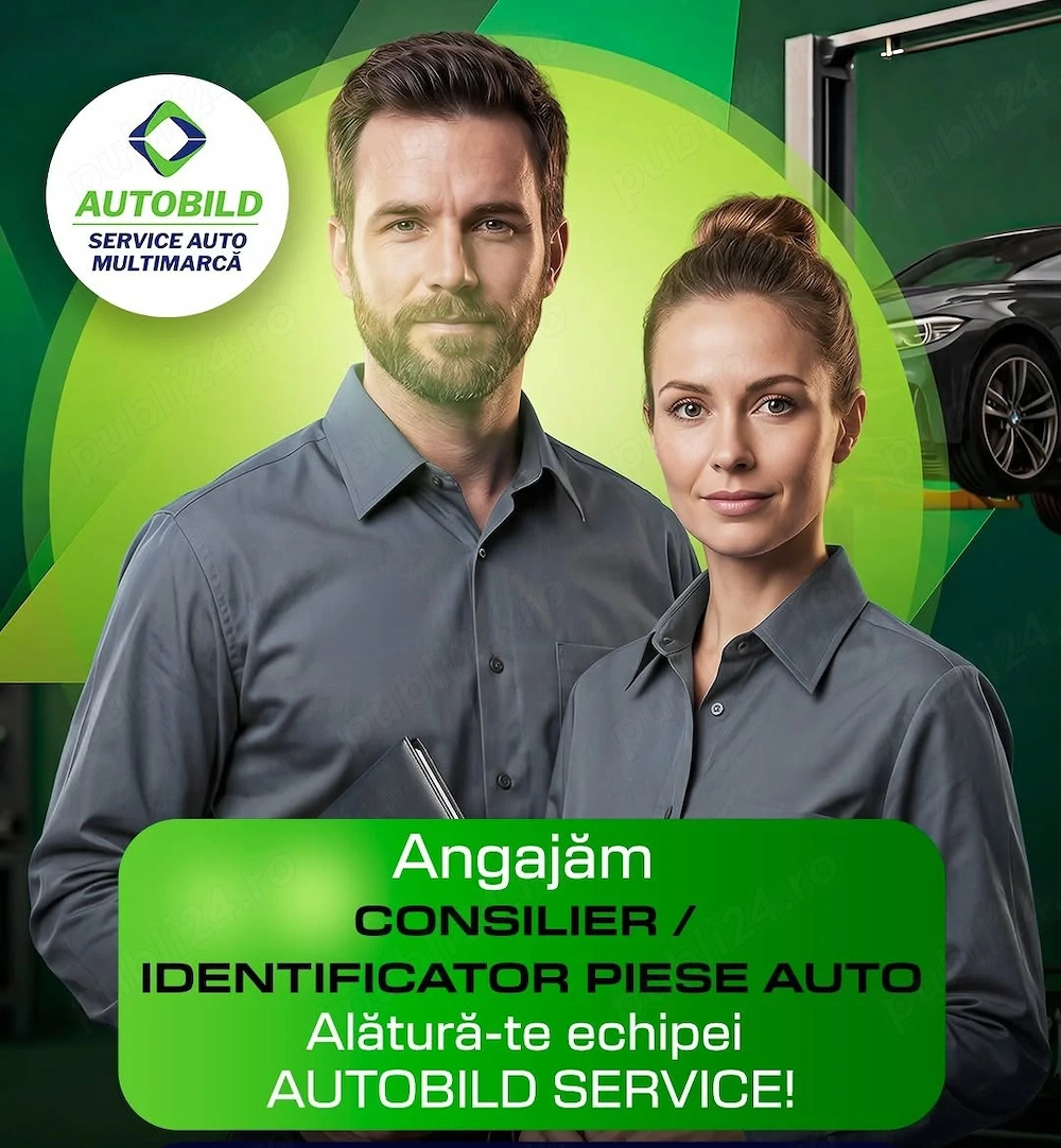 Consilier daune si identificare piese auto