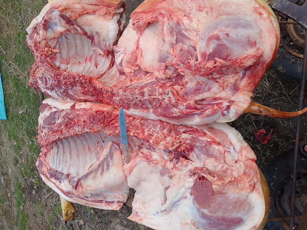 Carne de porc 