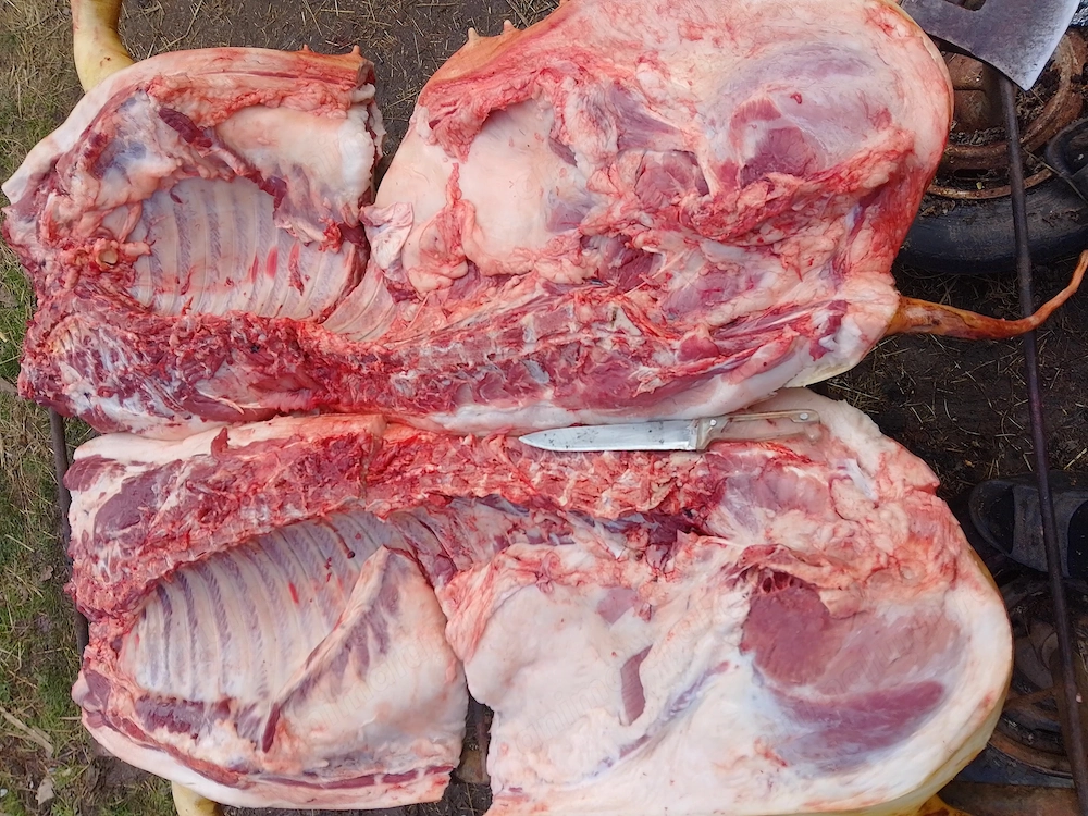 Carne de porc 