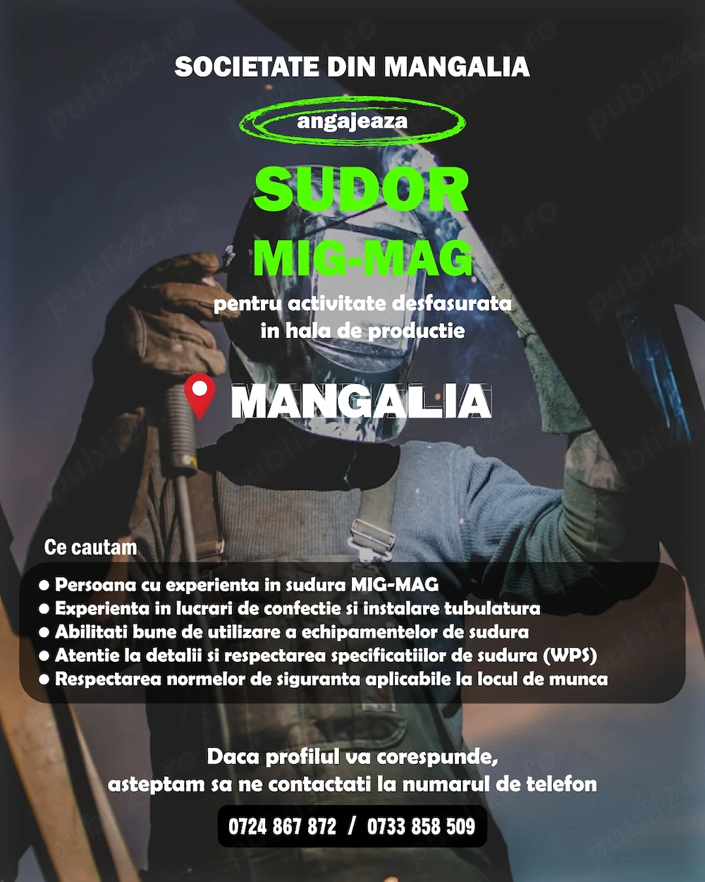 Sudori Co2 cu experienta pe teava