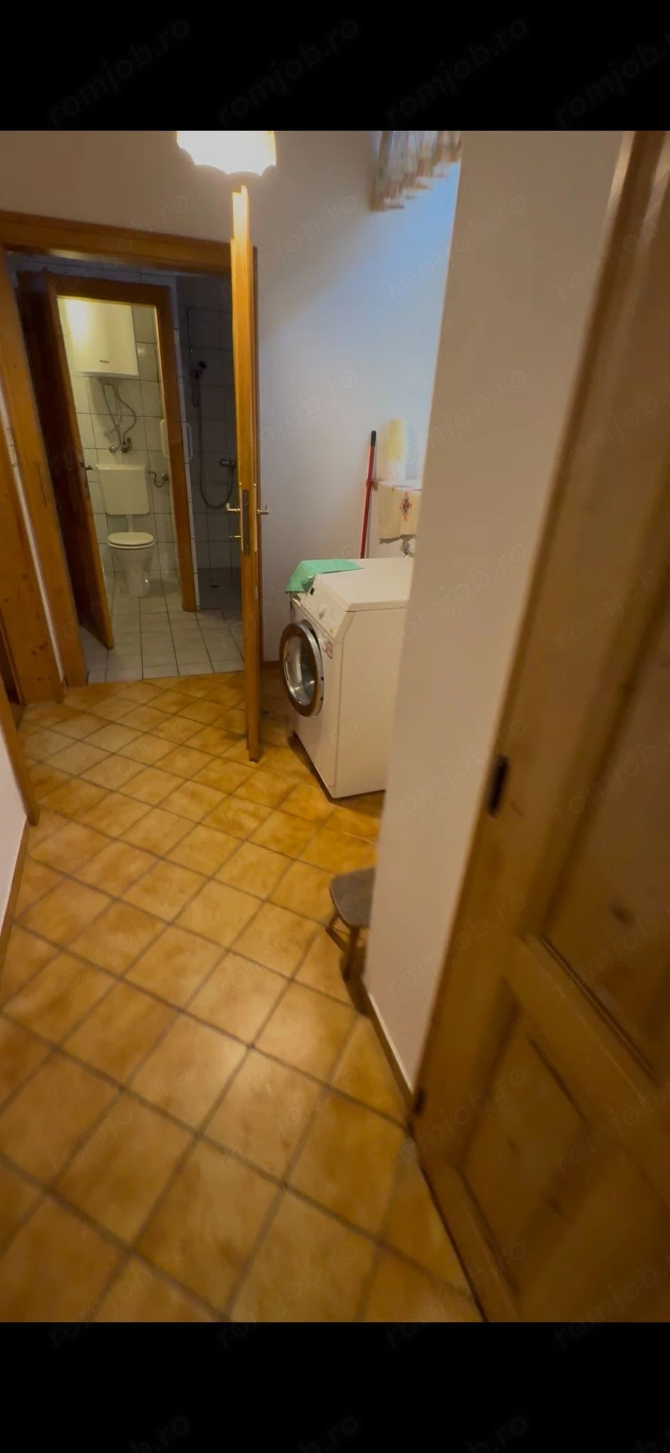 Angajăm muncitor pentru fermă de vaci în Austria