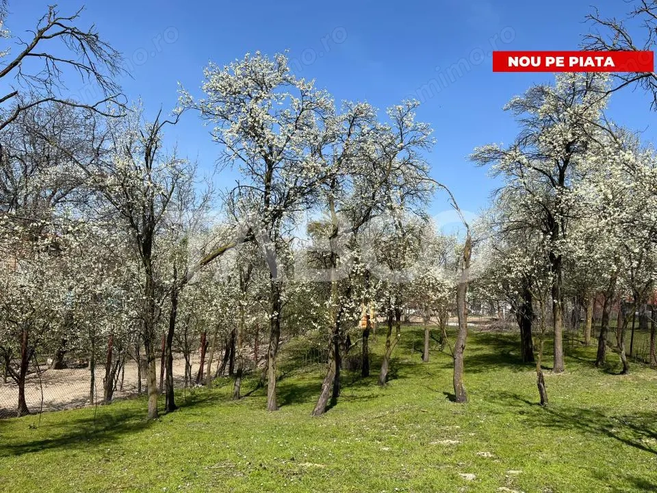 Teren intravilan imprejmuit 789mp UTILITATI URBANISM Poplaca