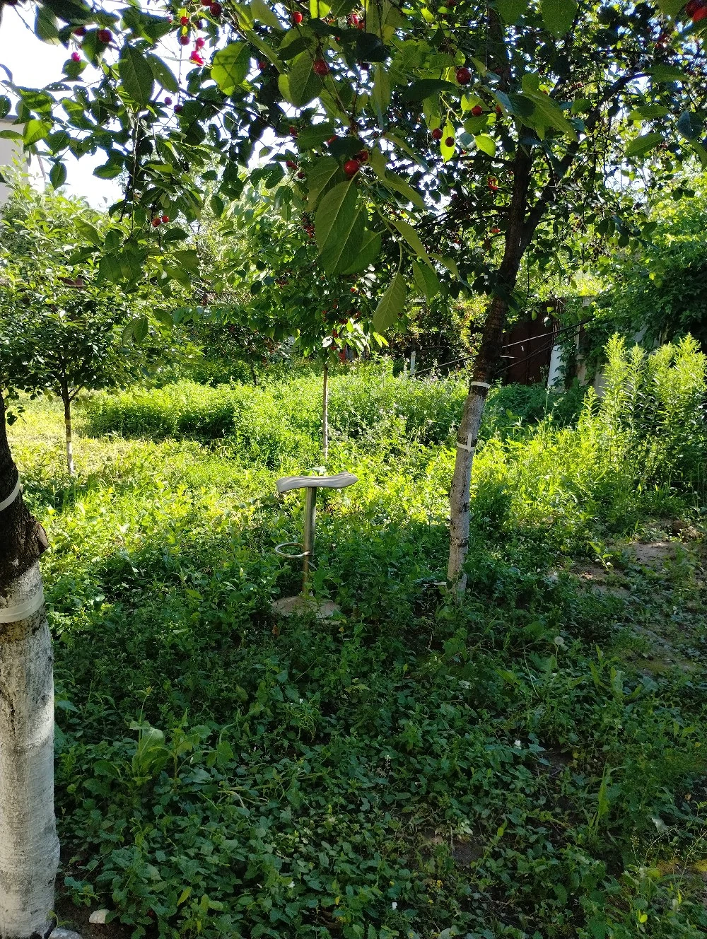 închiriez teren 